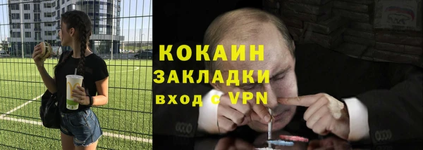 МДПВ Бородино