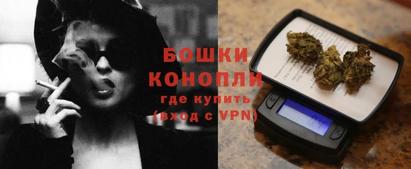 спиды Богородск