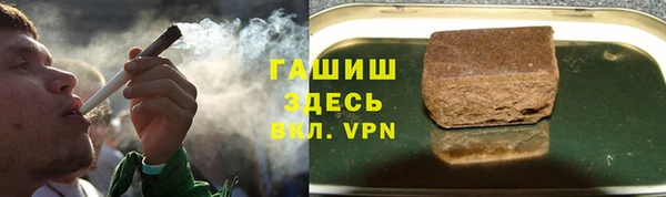 МДПВ Бородино