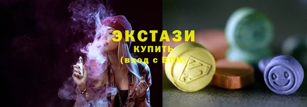 МДПВ Бородино