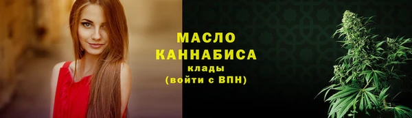 молекула духа Богородицк