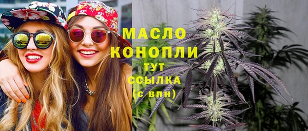 МДПВ Бородино