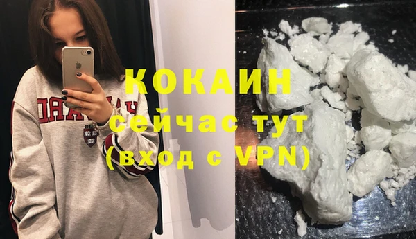 МДПВ Бородино
