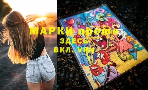 МДПВ Бородино