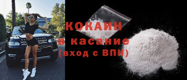 МДПВ Бородино